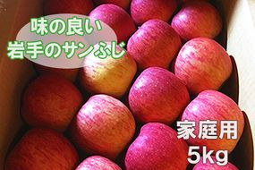【ご家庭用】味の良い岩手のサンふじ！花巻産約5kg【予約受付】 【276】