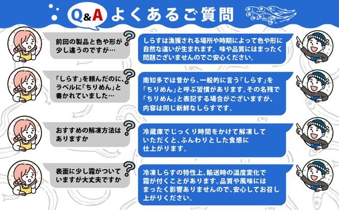 【小分け・容量が選べる】しらす 訳あり 400g～2kg しらす干し 小分け 冷凍 シラス ごはん おかず チャーハン パスタ 料理 大きめ ランキング こだわり 鮮度 天塩 マル伊商店 愛知県 南知多町