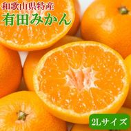 [秀品]和歌山有田みかん約4kg(2Lサイズ) ★2025年11月中旬頃より順次発送