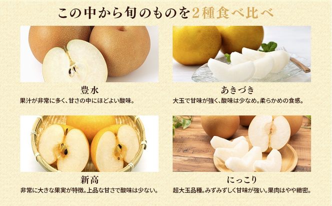 【訳アリ！先行予約】小林果樹園の梨 6～10玉 約3kg　※2026年9月～発送