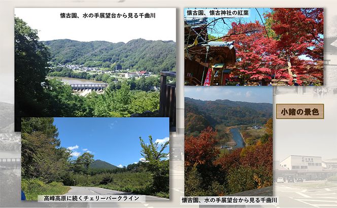 小山田いく先生クリアファイル２枚Ａ 雑貨 キャラクター 