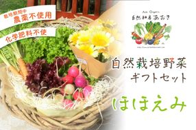 【数量限定】自然栽培野菜ギフトセット（ほほえみ）　AB00005