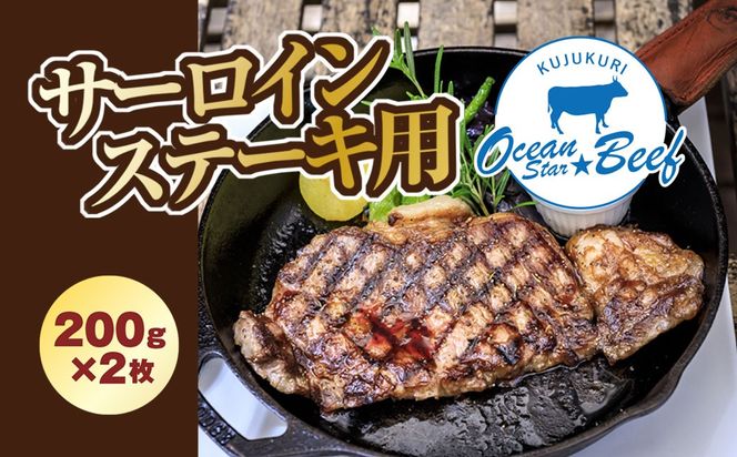 脂と赤身のバランスが最高! ブランド牛 九十九里オーシャンスタービーフ サーロインステーキ用 200g×2枚 SMCE002