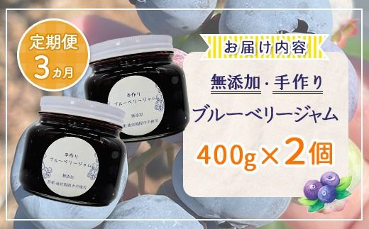 【定期便3カ月】北海道 豊浦町産 無添加手作り ブルーベリージャム400g×2個 TYUS007