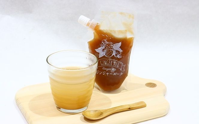 クラフトジンジャーエールの素（200g×3P）