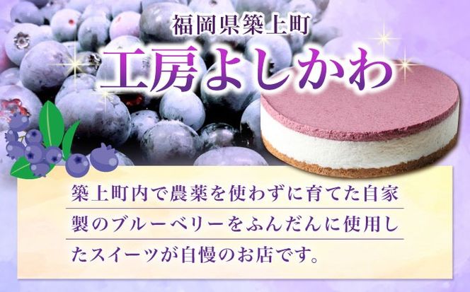 築上町産 冷凍 ブルーベリー 1kg 《築上町》【(有)工房よしかわ】国産 ブルーベリー [ABAK001]
