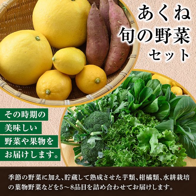 ＜定期便・全2回(6月・11月)＞あくね旬の野菜おまかせセット(5～8品目) 小松菜、レタス、青梗菜の3品目とその他野菜2品目以上を詰め合わせて全2回お届け！ ふるさと納税 阿久根市 特産品 野菜 お楽しみ さつまいも 芋【合同会社グッドフィールド】akn056-19