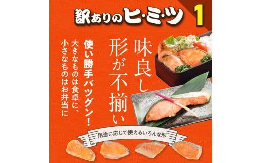 銀鮭切身 訳あり　バラ詰め1.5kg_HD231-005