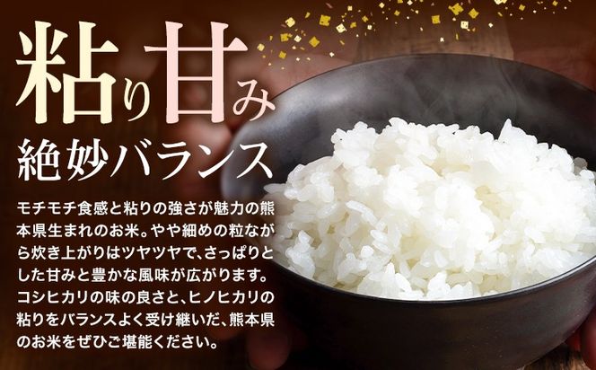 令和7年産 米 森のくまさん 5kg 10kg 15kg くまもと食彩の力《60日以内に出荷予定(土日祝除く)》熊本県 長洲町 お米 こめ コメ---sn_kmmk_60d_r7_16000_5kg---