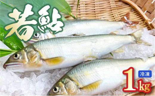 若鮎1㎏【冷凍】 N070-YA3369_2