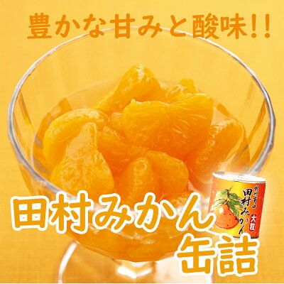 AY6003n_田村みかん 缶詰 12缶セット