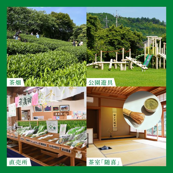 日本最北限の「奥久慈茶」生産者別・飲み比べセット 3袋(計300g)｜煎茶 お茶 茶葉 奥久慈茶 飲み比べ セット 茨城県 大子町 緑茶(CO004)