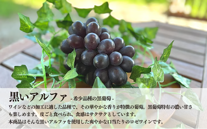 【2026年9月以降順次発送】希少葡萄のロゼワイン「BLACK DAWN」&ジャム3種(岡山県産)【KF-S011-03】