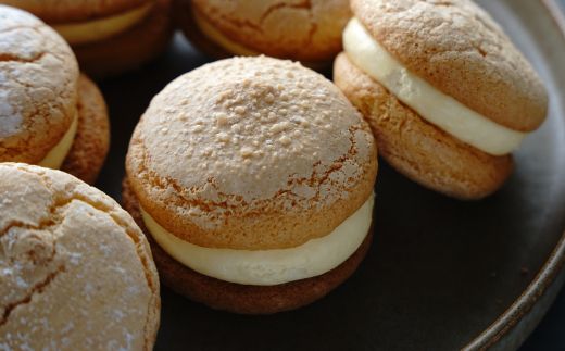 弁天堂 特製カスタードクリームのブッセ 約40g×6個　ブッセ スイーツ 冷凍