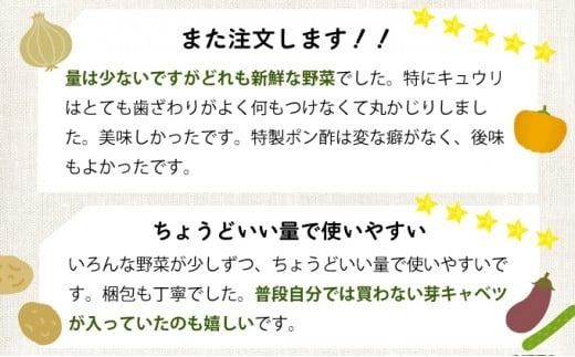 季節のお野菜詰め合わせセット 定期便 2回 旬のおまかせ 詰め合わせ 産地直送 季節の新鮮 野菜 定期便 果物 セット じゃがいも きゅうり トマト とうもろこし アスパラガス 玉ねぎ 蓮根 等 ふるさと納税 高知県 室戸市 rk051