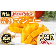 【0145912a】＜秀品・数量限定！先行予約＞南国鹿児島県産の太陽の恵み！完熟マンゴー(大玉1個・550g以上) 果物 フルーツ 果実 デザート 国産 冷蔵 【東串良物産館ルピノンの里】