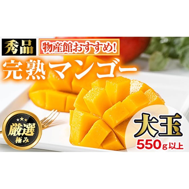 【0145912a】＜秀品・数量限定！先行予約＞南国鹿児島県産の太陽の恵み！完熟マンゴー(大玉1個・550g以上) 果物 フルーツ 果実 デザート 国産 冷蔵 【東串良物産館ルピノンの里】