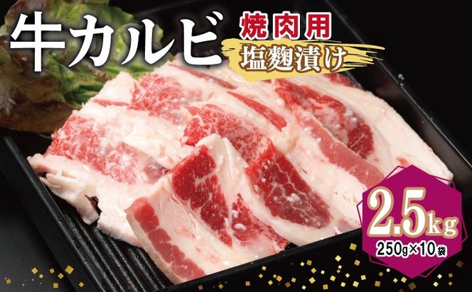 y{򍲖szG3397 Jr ēp Ђ v2.5kgyt  Ă ȒP BBQ  250g×10܁z