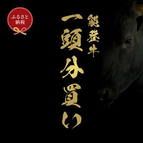 肉 【和牛セレブ】能登牛 一頭買い（12分割配送）2個口 黒毛和牛 霜降り ギフト 石川県 能美市 172111_DB048
