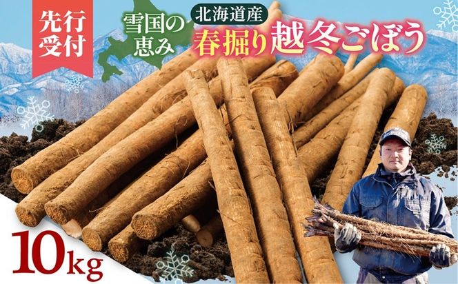 先行受付！2026年4月頃～発送開始！北海道十勝清水町産 春堀り 新鮮 越冬ごぼう！ 10kg 北海道産 ごぼう 土付ごぼう ゴボウ 根菜_S045-0002