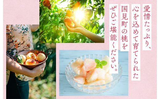 透過式光センサー川中島白桃 特秀3kg相当 9玉～11玉＜ ふくしま未来農業協同組合 ＞ | ふくしま 桃 福島 もも 国見 モモ ※2026年8月中旬頃より順次発送予定 ※沖縄・離島への配送不可