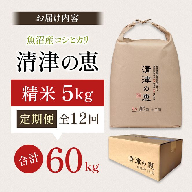 米 定期便 12ヶ月 特別栽培米 コシヒカリ 清津の恵 5kg 精米 白米 お米 魚沼産コシヒカリ 新潟米 新潟 十日町市 定期 12回