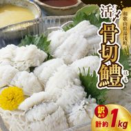【訳アリ・業務用】活〆 加熱用 国産 骨切鱧 約1kg （200g〜300g程の大きさの鱧を3〜5匹）_SD1009