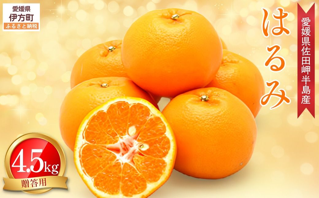 [先行予約][農家直送]愛媛県産 はるみ 贈答用 4.5kg(2026年1月中旬〜2月上旬頃発送予定)