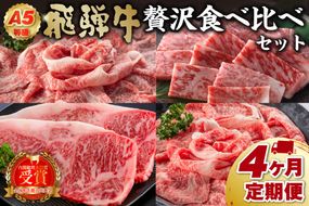 Ａ５等級　飛騨牛贅沢食べ比べセット　定期便　※4回に分けてのお届けとなります【0016-084】