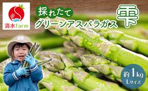 【2027年4月～発送】富良野産 採れたて直送! グリーンアスパラ 「雫」Lサイズ【約1kg】 (清水farm) アスパラ アスパラガス 野菜 新鮮 季節限定 北海道 富良野 ふらの