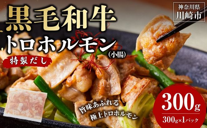 黒毛和牛トロホルモン（小腸）　特製だし0.3kg ( 300g × 1パック )【配送月が選べる】