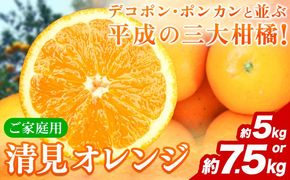 【ご家庭用訳アリ】 紀州有田産清見オレンジ 約5kg 約7.5kg 株式会社魚鶴商店《2026年3月下旬-4月中旬頃出荷》 和歌山県 日高川町 オレンジ 柑橘 ご家庭用 フルーツ---wshg_uot131_3g4c_25_11000_5kg---