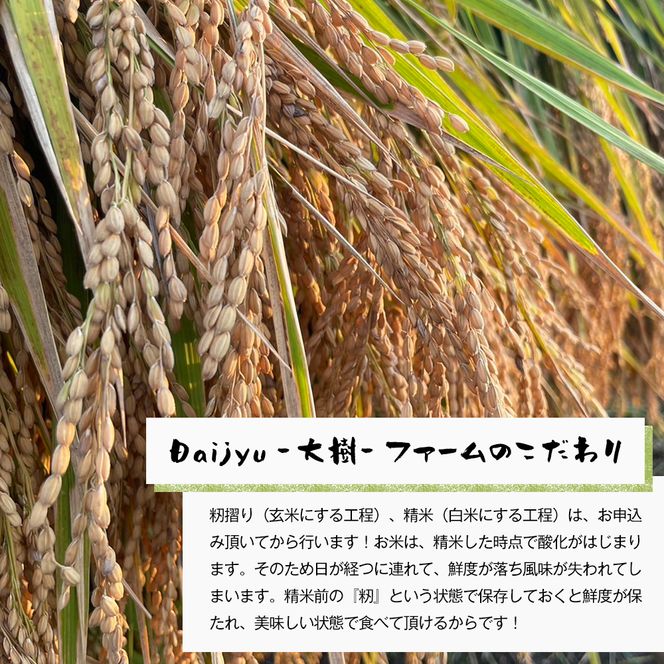 【定期便6ヶ月】自然栽培　コシヒカリ（玄米）　5kg 《無選別品のため訳アリ》