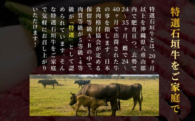 【2025年11月以降順次発送】希少な特選石垣牛をご家庭で！！ヒレ＆サーロインステーキ、特選サーロインしゃぶしゃぶ用の贅沢の極セット合計700g