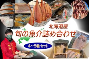 北海道産 旬の魚介 4～5種 お楽しみ詰め合わせ セット