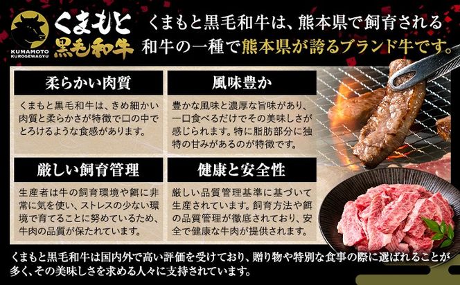 牛肉 A4～A5等級 黒毛和牛 切り落とし くまもと黒毛和牛 上 カルビ 焼肉切り落とし 300g 600g 900g《60日以内に出荷予定(土日祝除く)》熊本県 長洲町 上カルビ 焼肉用 焼肉 肉 お肉 和牛 A5 A4 300g 小分け---ng_fzyoukbyk_60d_r7_7500_300g---