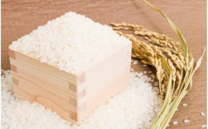 ＜定期便 全6回＞ 令和7年産米 真庭市産 太安さんちのあきたこまち 白米 5kg×6回 / お米 国産 岡山県 米 人気 ブランド 2025年産 【tkns-tkb040-cho】