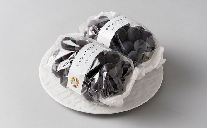 【定期便】【2026年先行予約】 ぶどう 岡山県産 ニューピオーネ ・ クイーンニーナ 1kg箱（各2～3房） 定期便 2回 《2026年8月下旬-9月中旬頃出荷》 葡萄 ブドウ 岡山県産 フルーツ 果物 数量限定 