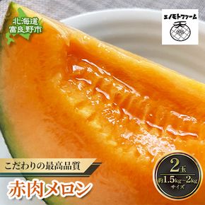【2027年夏発送】北海道 富良野産 赤肉メロン 2玉 計3kg以上 ふらの メロン ギフト 果物 赤玉(榎本農園) メロン フルーツ 果物 新鮮 甘い 贈り物 ギフト 道産 ジューシー おやつ ふらの ブランド 夏