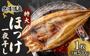 北海道産 ほっけ一夜干し（500～550g）×1枚 【配送日時指定可能】 釧路町の匠が贈る 北の至宝 ホッケ 干物 焼魚 焼き魚 白身魚 セット ひもの 魚干物 一人暮らし セット おかず 冷凍 スピード発送 すぐ届く 魚介類 海鮮 絶品 人気 ヒロセ すぐ発送 北海道 釧路町 釧路超 特産品