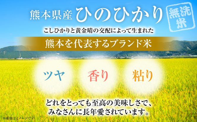 【令和7年産】 熊本県産 無洗米 熊本ひのひかり 5kg (5kg×1袋) 米 お米 精米 白米 ごはん ご飯 熊本