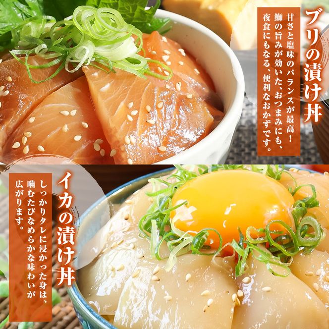 訳あり 海鮮漬け丼 5種類 各1～4P セット マグロ 鯛 イカ ブリ 鰹のたたき 漬け丼 海鮮丼 漬け づけ丼 国産 食べくらべ 漬け丼の素 海鮮丼の具 海鮮セット まぐろ いか ぶり 鯛 かつおのたたき 鰹タタキ 訳アリ 不揃い 規格外 わけあり 食べ比べ 海鮮 魚介類 水産加工品 冷凍 食品 保存食 鯛茶漬け 小分け 一人暮らし 簡単 高知 惣菜