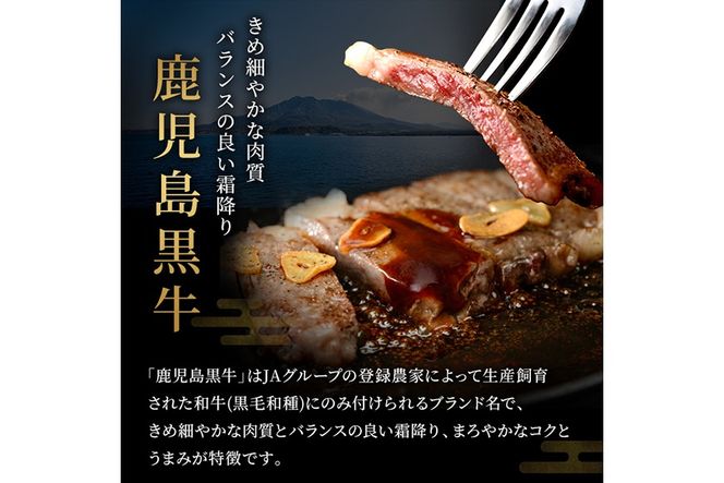 a498 ＜D-101＞ 鹿児島黒牛すきやきセット(計600g)【あいら農業協同組合】 姶良市 国産 鹿児島県産 肉 牛肉 牛 黒毛和牛 5等級 肩ロース ウデ肉 すき焼き