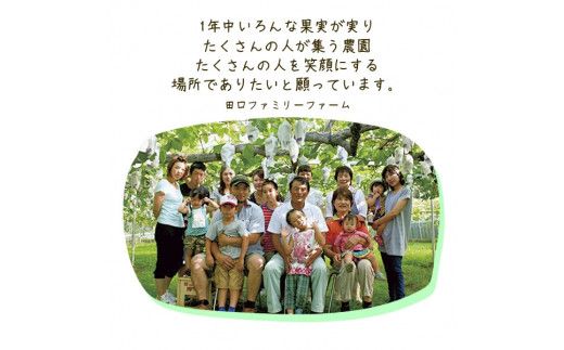 【訳あり】完熟きんかん2Lサイズ約400g×6袋(2026年2月中旬発送開始) N053-YZA548