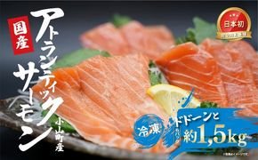 日本初 完全陸上養殖 小山町産 アトランティックサーモン 冷凍 6パック 約1.5kg