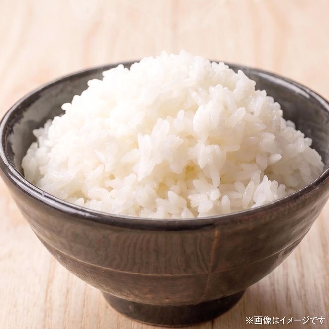 コシヒカリ 令和8年産 5kg 〈2026年9月1日～発送〉5キロ 精米 白米 お米 ご飯 ごはん 米 こめ こしひかり 高知県産 国産 お取り寄せ 常温 高知 土佐市 ふるさと納税【三宮 君生】[BQCE001]