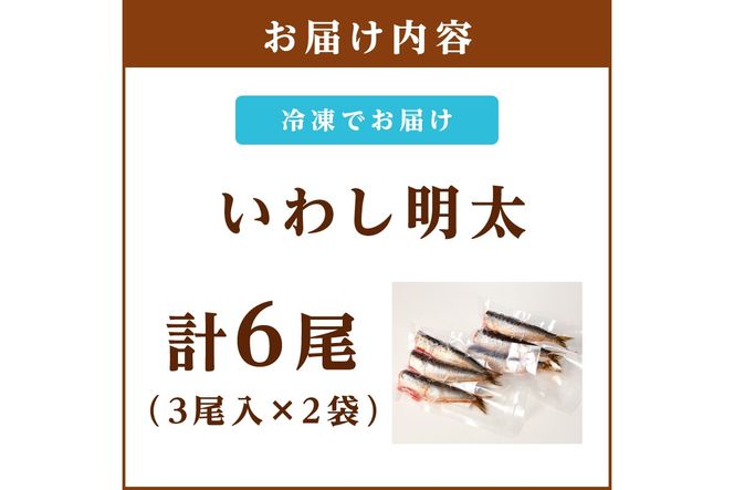 【Z9-020】いわし明太 6尾