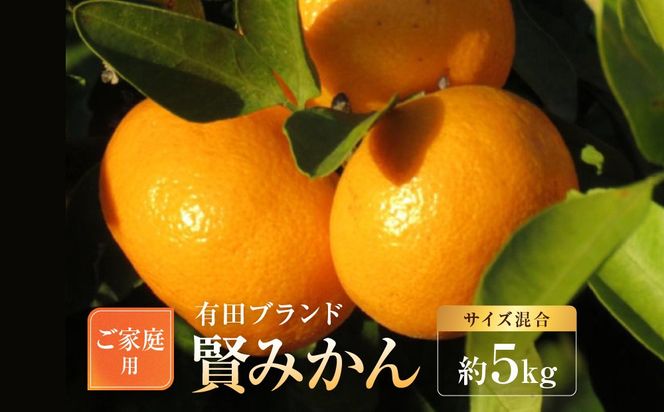 有田のブランド「賢みかん」約5kg サイズ混合 ご家庭用［2026年11月中旬頃より順次発送］ BZ130