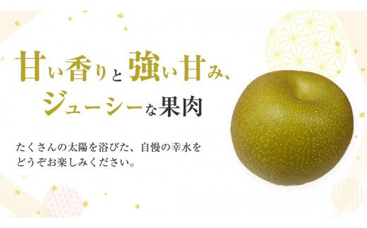 【 2026年8月上旬発送開始 】 茨城県産 梨 幸水 （約 5kg ） 10～14玉  梨 なし 和梨 日本梨 果物 フルーツ 新鮮 旬 期間限定 国産 先行予約[CL001us]