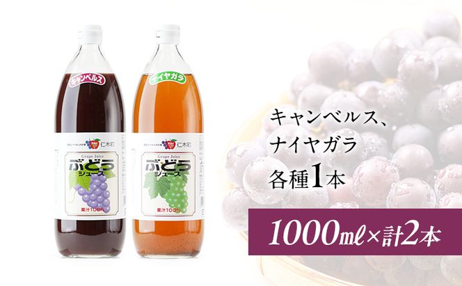 北海道仁木産ぶどうジュース飲み比べセット（キャンベルス、ナイヤガラ）：2本 果汁飲料 渋み 甘み 酸味 調和 こだわり 濃厚 ストレート のみ比べ [JA新おたる]